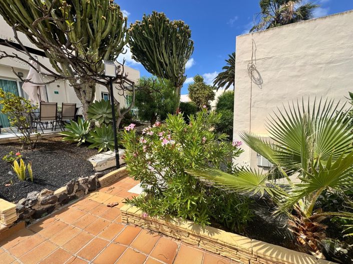 Image No.18-Appartement de 1 chambre à vendre à Corralejo