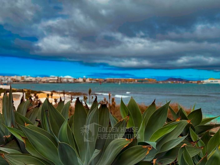 Image No.50-Propriété de 4 chambres à vendre à Corralejo