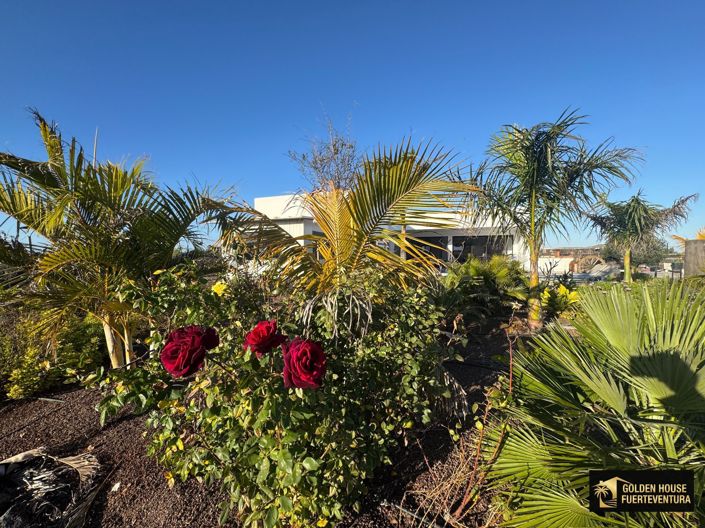 Image No.35-3 Bed Property for sale