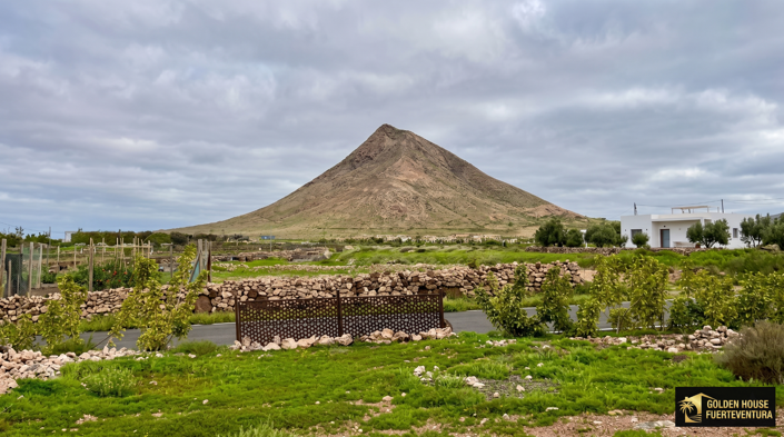 Image No.2-Propriété à vendre à Tindaya