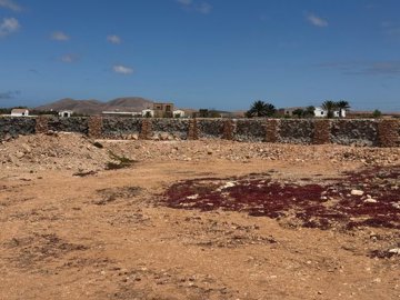 whatsapp20image202026-04-2720at20141349202832