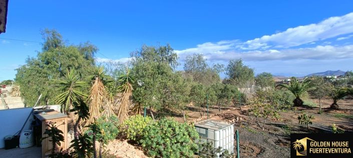 Image No.45-3 Bed Property for sale