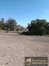 img-20260803-wa0023