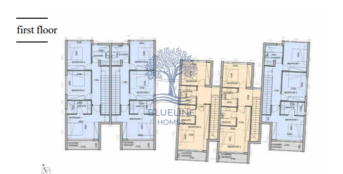 Image No.1-floorplan-1