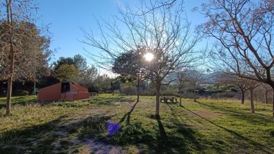 img20250214171234