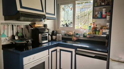 bright-l-shaped-kitchen-with-blue-countertops