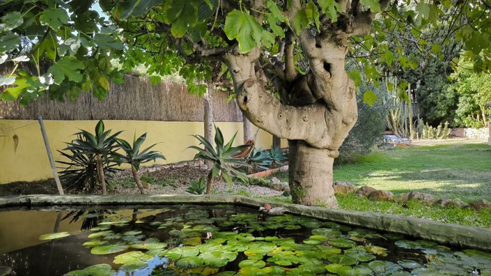 Image No.40-4 Bed Villa for sale