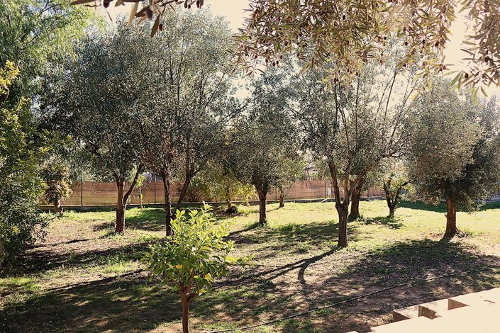 Image No.3-5 Bed Villa for sale