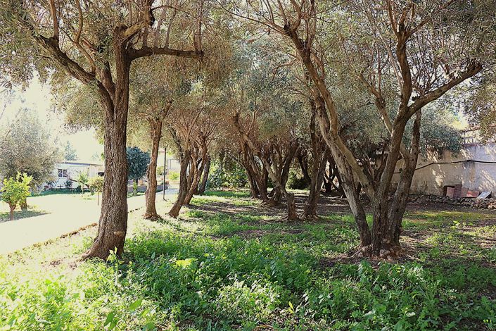 Image No.6-5 Bed Villa for sale