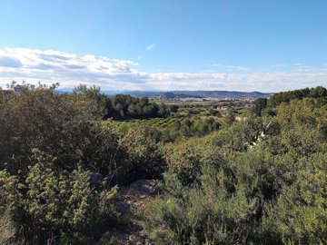amazing-views-to-the-mountains
