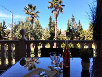 view-from-the-covered-terrace-to-the-garden