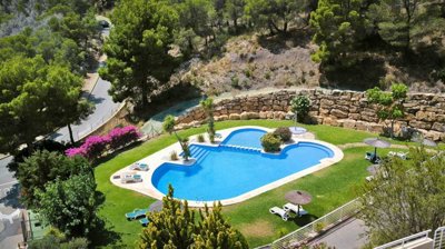 big-communal-poolarea-with-grass-surrounding