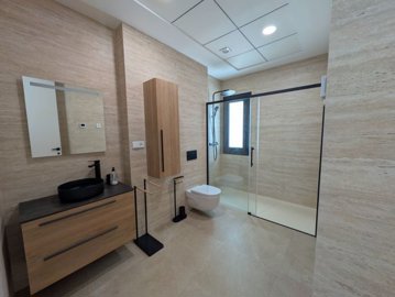 modern-bathroom-with-elegant-tiles-and-walkin