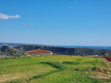 full67c1d34941eb71740755785