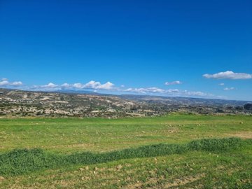 full67c1d34c620d11740755788