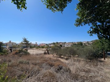 1 - Pissouri, Property