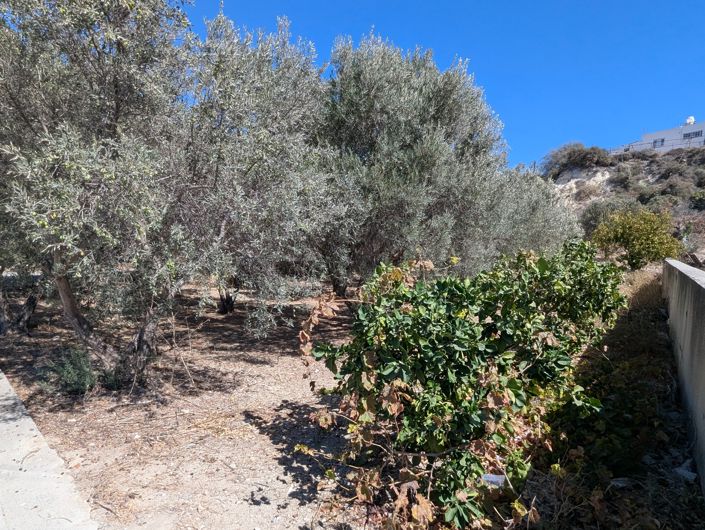 Image No.6-Propriété à vendre à Chypre