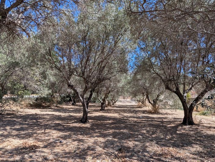 Image No.7-Propriété à vendre à Chypre