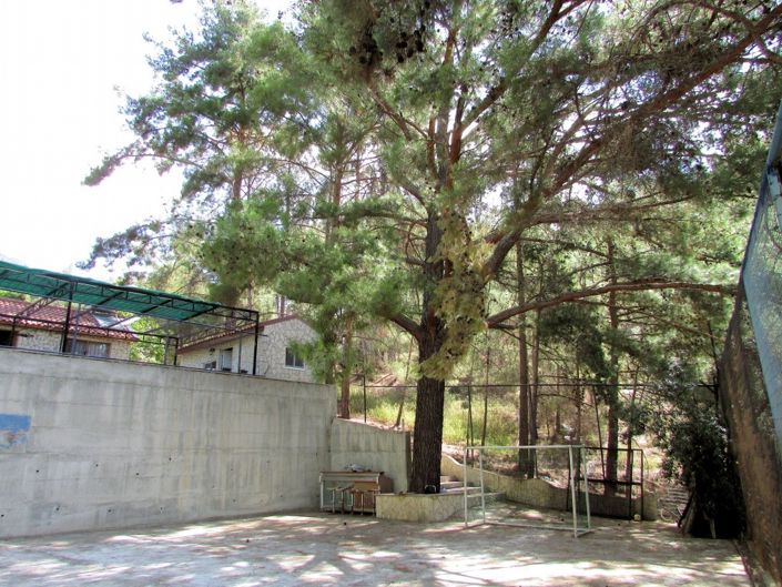 Image No.4-Propriété à vendre à Chypre