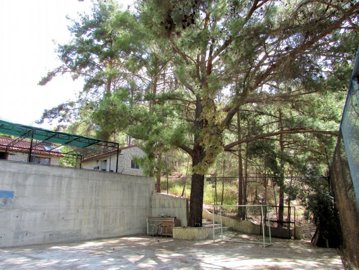 full60005e98426a71610636952