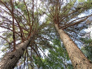 full60005ea8593741610636968