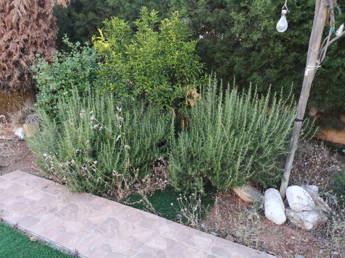 Image No.19-Propriété à vendre à Chypre