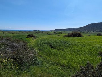 full65f47fb9a057a1710522297