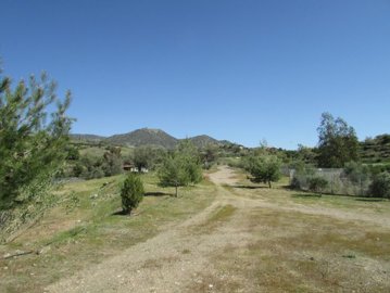 full5b4c6377017f81531732855