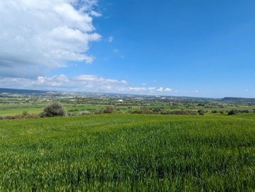 1 - Pissouri, Property