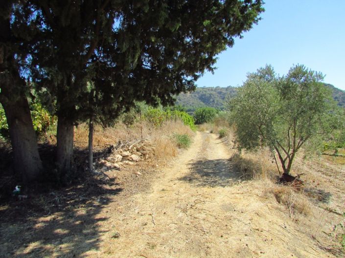 Image No.2-Property for sale