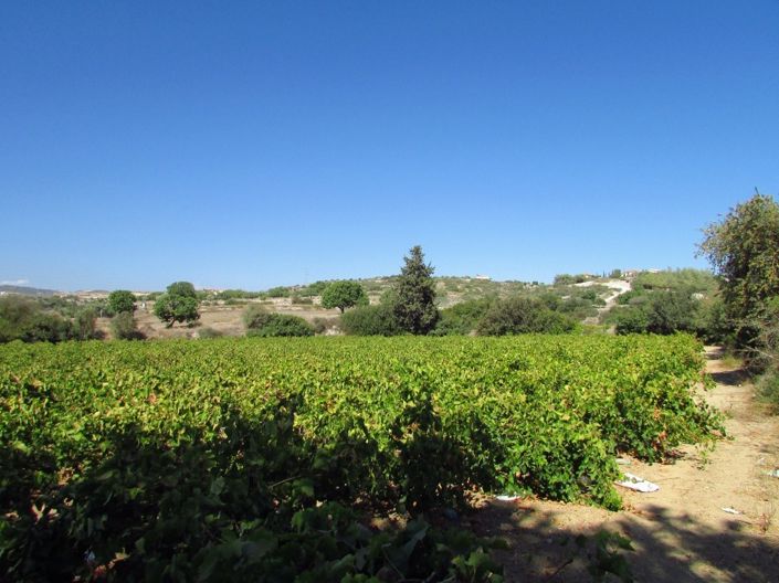 Image No.3-Property for sale