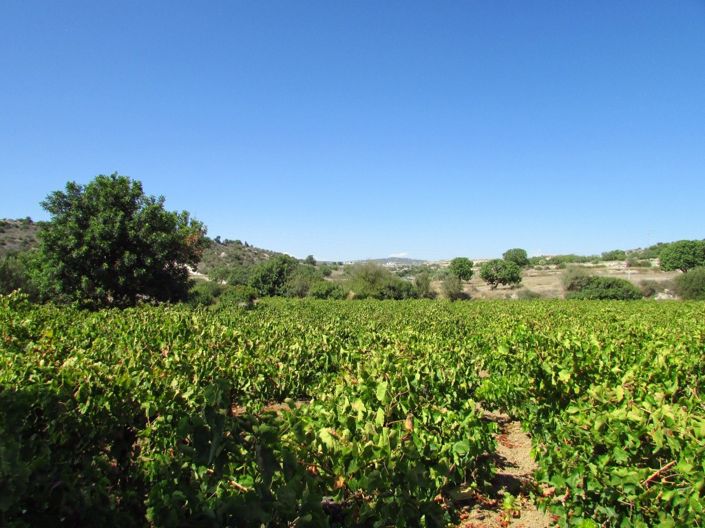 Image No.4-Property for sale