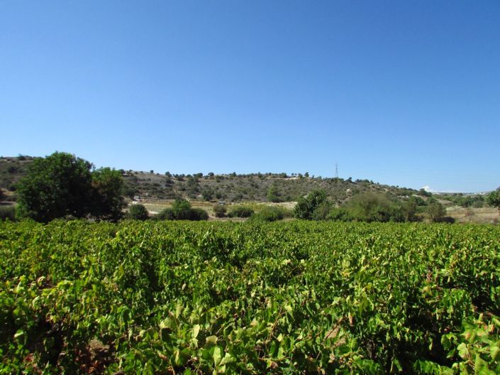 Image No.5-Property for sale