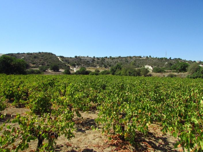 Image No.6-Property for sale