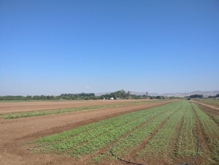 Image No.3-Property for sale