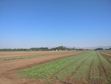 full5bc701bd601d01539768765