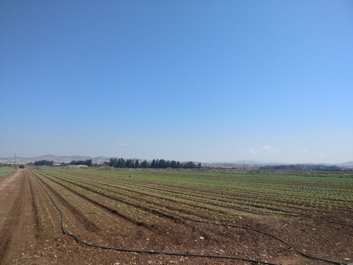 Image No.6-Property for sale