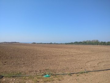 full5bc701ca2b8ce1539768778