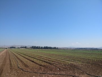 full5bc701c2a46951539768770