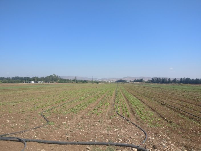 Image No.7-Property for sale