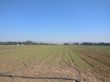 full5bc701c4b834d1539768772