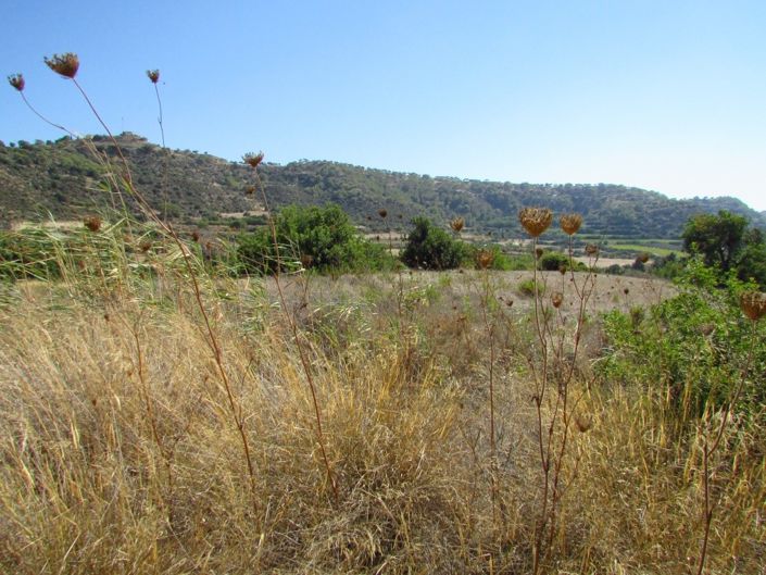 Image No.4-Property for sale