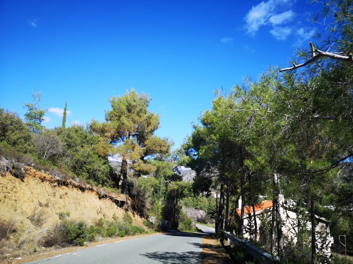 Image No.2-Property for sale