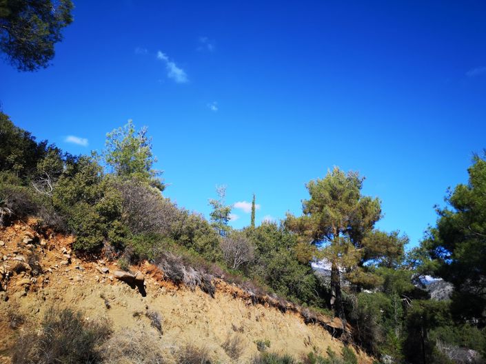 Image No.3-Property for sale