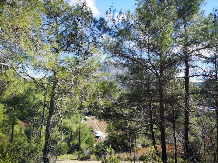 Image No.4-Property for sale