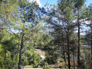 full602d346c81b6b1613575276