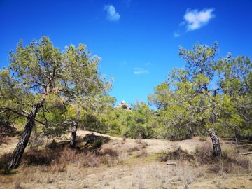 full602d346dbf4211613575277