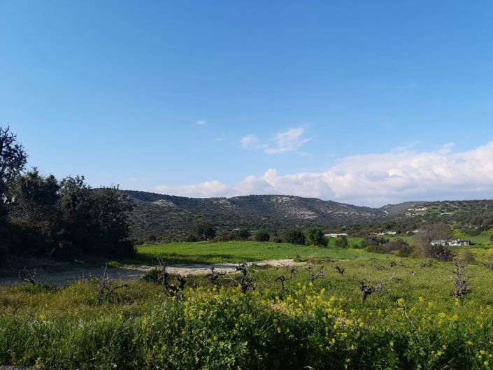 Image No.2-Propriété à vendre à Chypre