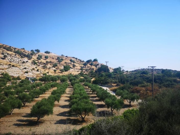 Image No.4-Property for sale