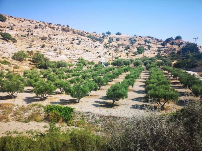 Image No.6-Property for sale